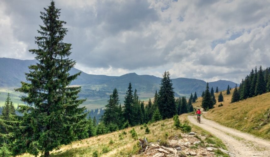 video recomandari pentru iubitorii de drumetii montane 6891f7a19709d