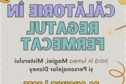 viseu de sus in lumea magiei misterului si personajelor disney 68a5a1f57863e