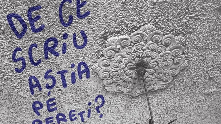 anuala de arhitectura nord vest de ce scriu astia pe pereti seara de film si qa cu dan perjovschi 68be9db448c9f