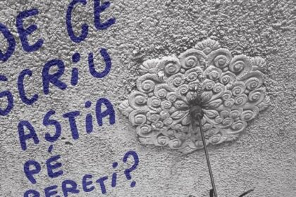 anuala de arhitectura nord vest de ce scriu astia pe pereti seara de film si qa cu dan perjovschi 68c80a78909b6