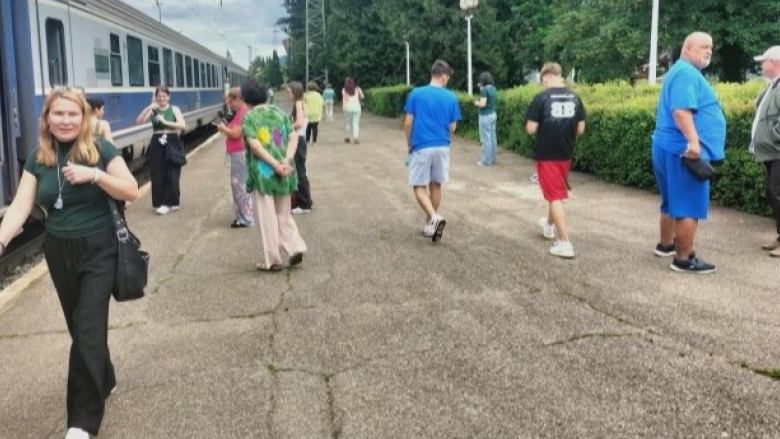 cfr sa anuleaza trenurile 1530 si 1531 in relatia baia mare timisoara nord si retur 68b5a08c0faeb