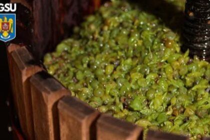 igsu atentie la pericolul din timpul fermentarii mustului 68d3b75ebf481