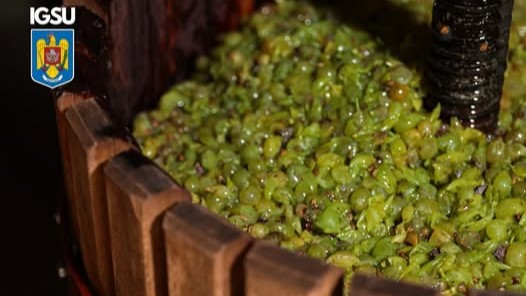 igsu atentie la pericolul din timpul fermentarii mustului 68d3b75ebf481