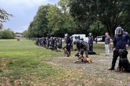 jandarmeria maramures cainele edam si conductorul sau daniel timar la curs de pregatire in dunakeszi ungaria 68c83762ef1ec