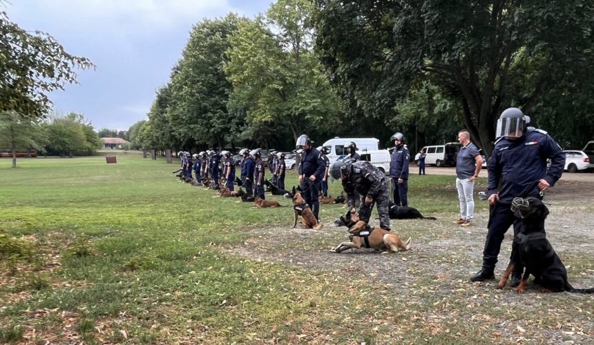 jandarmeria maramures cainele edam si conductorul sau daniel timar la curs de pregatire in dunakeszi ungaria 68c83762ef1ec