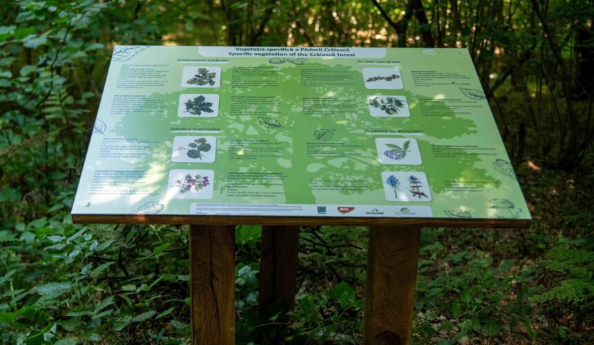 modificare data inaugurare traseu tematic padurea craiasca ocna sugatag 68c04d9791b42