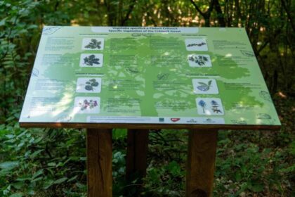 modificare data inaugurare traseu tematic padurea craiasca ocna sugatag 68d331e3ef714