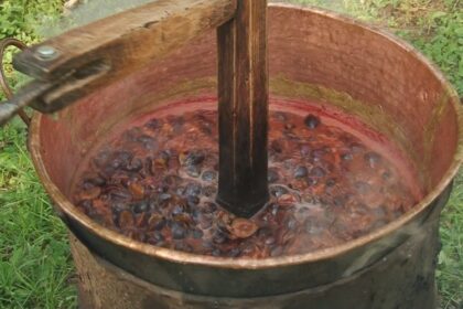 muzeul satului baia mare invitatie la prepararea silvoitei 68d111394f7b9