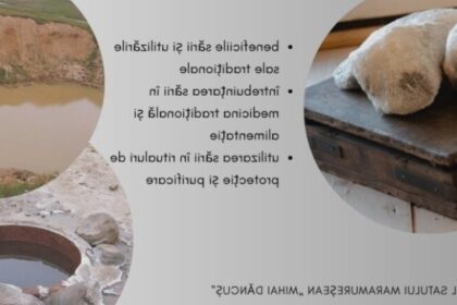muzeul satului maramuresean atelier de sanatate salina maramuresul si sarea 68b6f5b81e47b