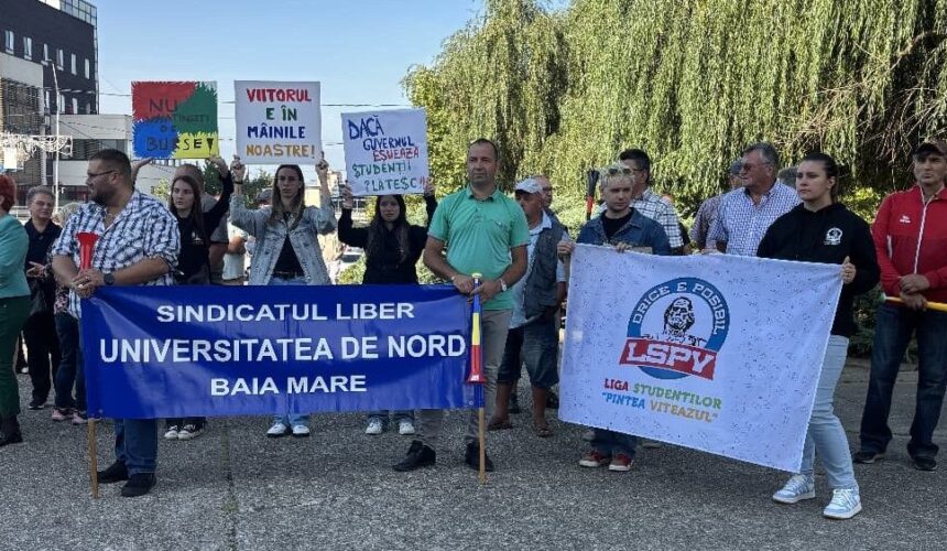 nemultumiri lspv prezenta la protestele fata de masurile de austeritate din invatamant 68c31bb0d03bd
