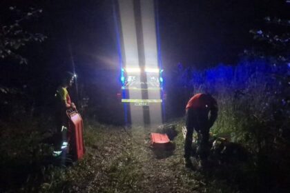 salvamont un barbat a murit dupa ce s a prabusit un copac peste el 68ce5f314b8aa