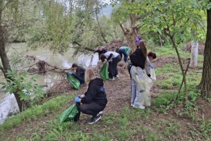 sighetu marmatiei sighetenii s au mobilizat din nou pentru a se alatura celui mai mare proiect de implicare sociala din tara lets do it romania 68ce8056da707