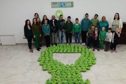 asociatia esperando funda verde din lampioane simbol al solidaritatii pentru a marca ziua mondiala a paraliziei cerebrale 68e5316857d7a