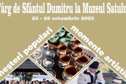 muzeul satului baia mare targ de sfantul dumitru 68e62fd2c6def