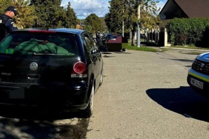 sighet actiune cu efective de politie marite 87 de persoane au fost legitimate in doua ore 68ee4796ca864