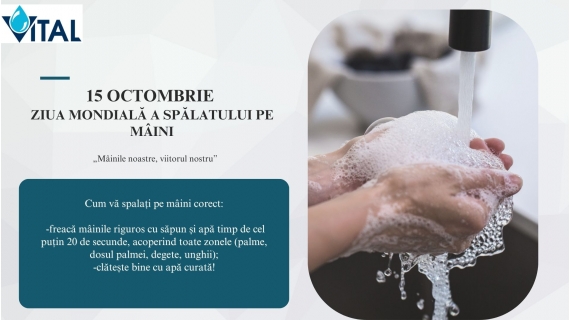 vital ziua mondiala a spalatului pe maini mainile noastre viitorul nostru 68ef8c283fe3b