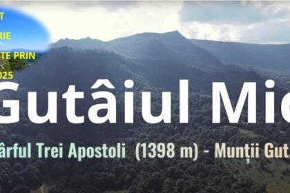 cupa sanatate prin miscare 2025 cei trei apostoli gutaiul mic 691707a2e4890