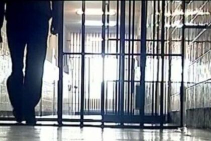 ipj trimis dupa gratii pentru lipsire de libertate 690cc7e42b242