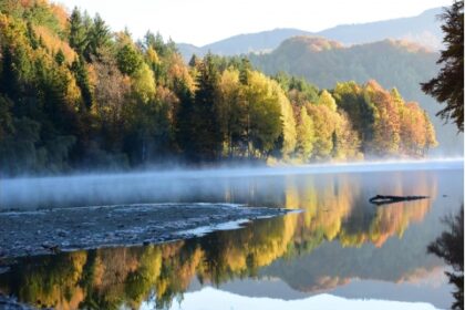 vital sfaturi utile pentru reducerea consumului de apa si protejarea resurselor naturale 6918ef3cdc789