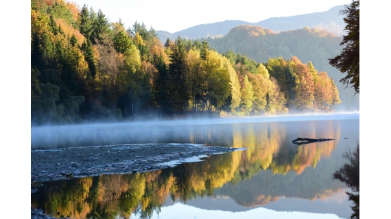 vital sfaturi utile pentru reducerea consumului de apa si protejarea resurselor naturale 6918ef3cdc789