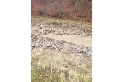 vital transportul exploatarea de masa lemnoasa genereaza probleme in furnizarea apei potabile in orasul targu lapus si satele apartinatoare 69170fc12f008