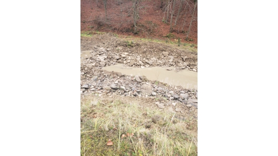 vital transportul exploatarea de masa lemnoasa genereaza probleme in furnizarea apei potabile in orasul targu lapus si satele apartinatoare 69170fc12f008