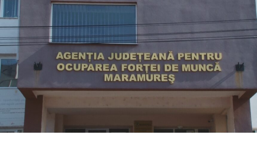 ajofm locuri de munca vacante in judet 6942926d45eaa