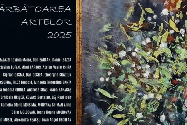galeria de arta uap baia mare sarbatoarea artelor 2025 693bf8a561e84