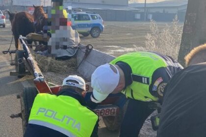 ipj activitati de informare si prevenire pe drumurile publice 6942d8d9baab1