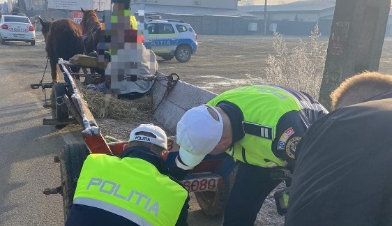 ipj activitati de informare si prevenire pe drumurile publice 6942d8d9baab1