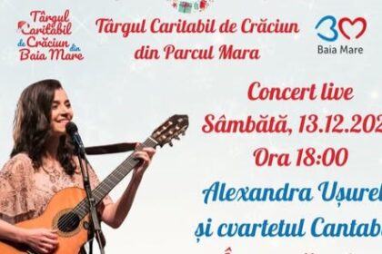 moment artistic special in cadrul targului caritabil de craciun din parcul mara din baia mare 693943e55d819