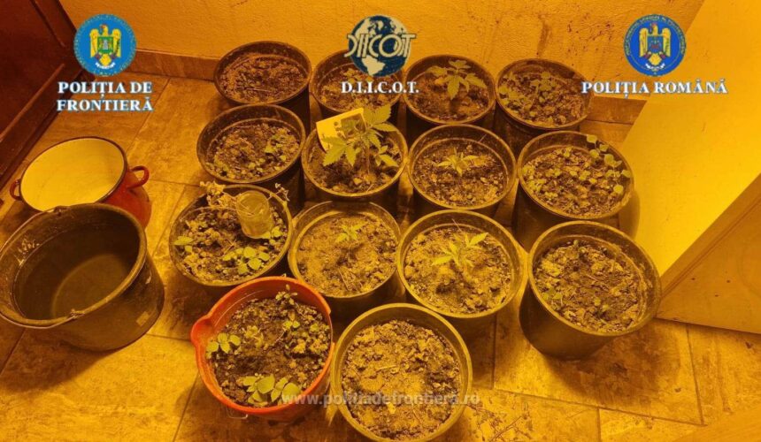 perchezitii intr un dosar de trafic de droguri 694411b5c1c33