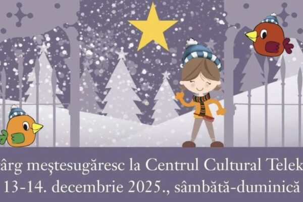 targ de craciun cu tot ceea ce inseamna daruri sub brad la casa maghiara teleki 6937fb023cef5