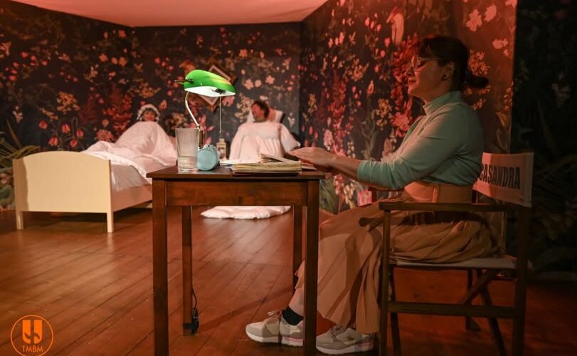 teatrul municipal baia mare reactiune o fandacsie muzicala inspirata de i l caragiale 69354f783c0c0