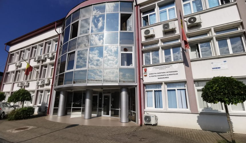 video orice modificare observata la sacrificarea porcului trebuie anuntata medicului veterinar 692ccab97bef5