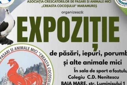 baia mare se deschide expozitia anuala de pasari si animale mici 695e45566831d