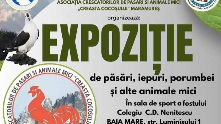 baia mare se deschide expozitia anuala de pasari si animale mici 695e45566831d