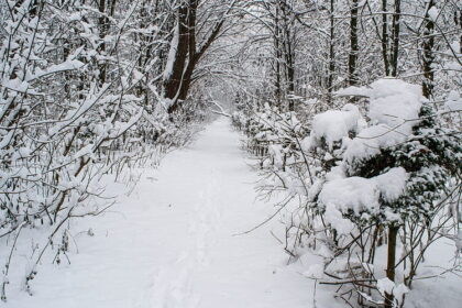 masuri preventive pentru perioade cu temperaturi negative si ger 6960ffbe3c455