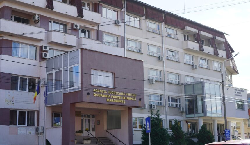 video agentii economici in cautare de forta de munca pot apela la ajofm maramures 6977982223f7c