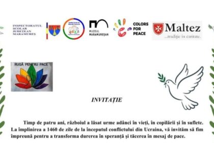 csei sighetu marmatiei culori pentru pace la cea de a vii a editie 6997052e85b1d