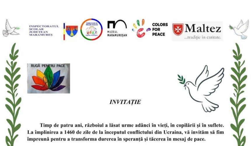 csei sighetu marmatiei culori pentru pace la cea de a vii a editie 6997052e85b1d