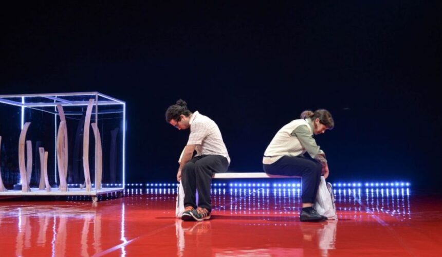 teatrul municipal baia mare ultima reprezentatie a spectacolului heaven de mieko kawakami 6987292383439