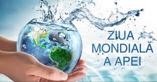 vital ziua mondiala a apei 699d78229b378