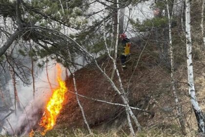 baia sprie incendiu de fond forestier pe dealul minei 69bd7ff29d945