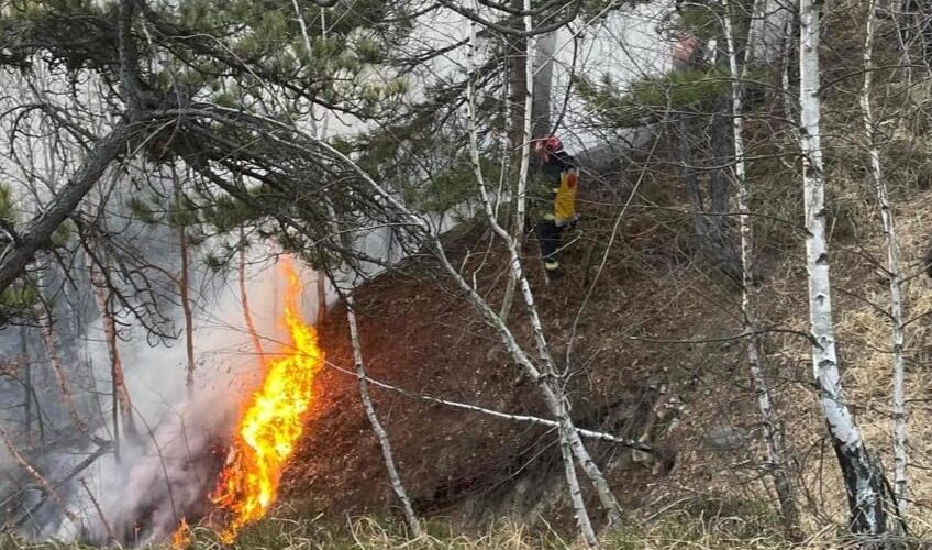 baia sprie incendiu de fond forestier pe dealul minei 69bd7ff29d945