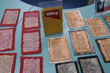 biblioteca judeteana petre dulfu inedit 69afd26482d84