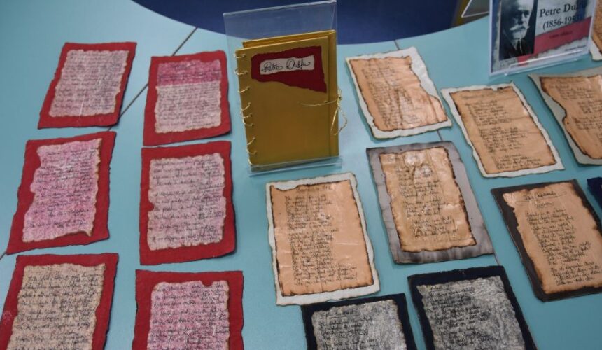 biblioteca judeteana petre dulfu inedit 69afd26482d84