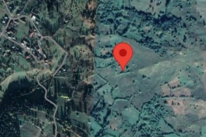 borsa incendiu de vegetatie o femeie a fost gasita inconstienta 69b40d05c647d