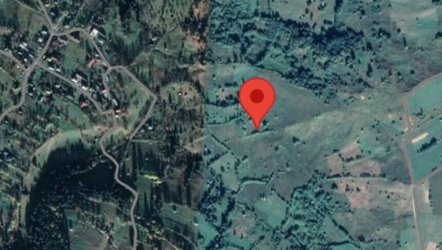 borsa incendiu de vegetatie o femeie a fost gasita inconstienta 69b40d05c647d