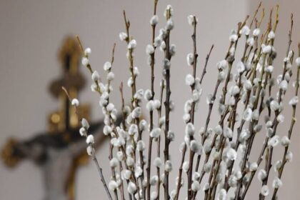 duminica floriilor pentru romano catolici reformati unitarieni evanghelici si neoprotestanti 69c8f8b35f9db